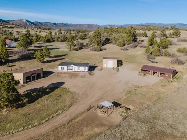 41 Elk Drive, Chama, NM 87520