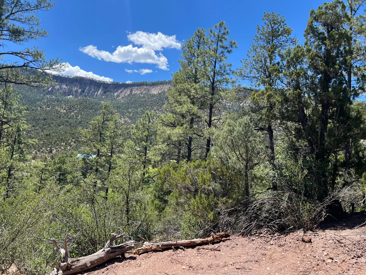 1-A-3 Calle Pinon, Jemez Springs, NM 87025 - #1