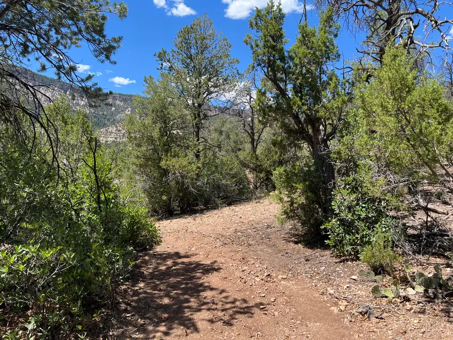 1-A-3 Calle Pinon, Jemez Springs, NM 87025 - #3
