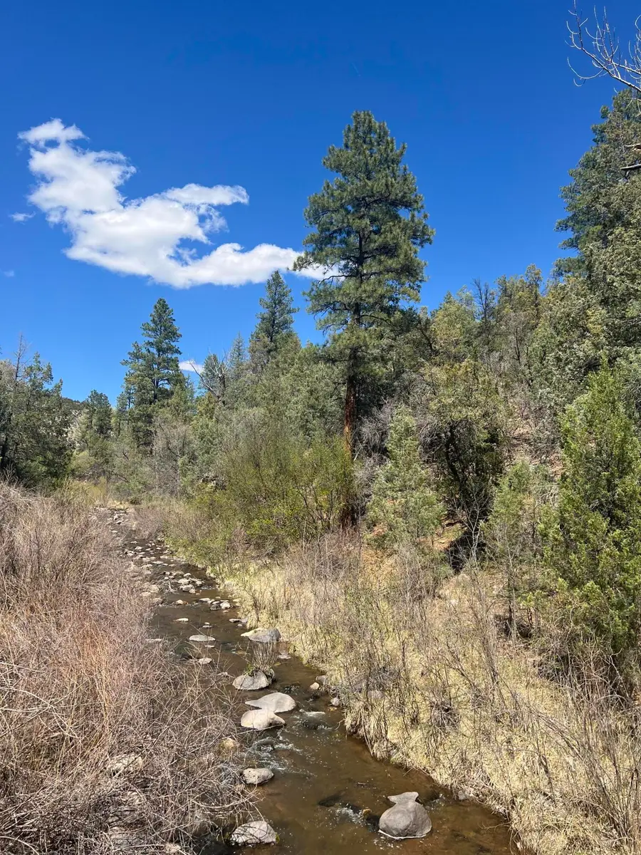 1A1A Calle Pinon, Jemez Springs, NM 87025 - #2