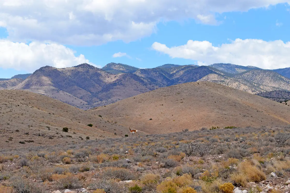 Lot 7 Painted Horse Road, San Antonio, NM 87832 - #1