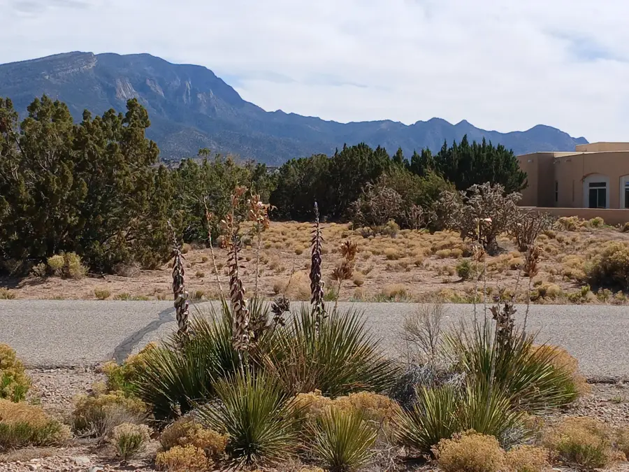 Palomino Road, Placitas, NM 87043 - #2