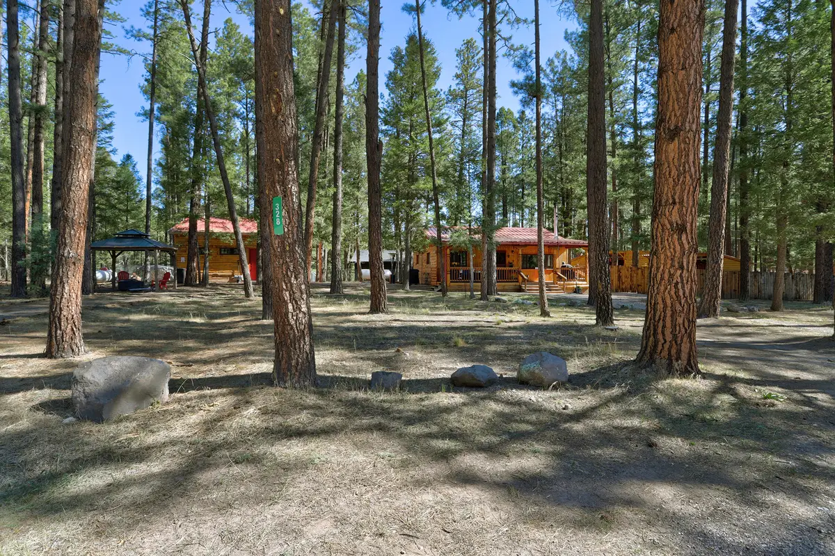 328 Blue Spruce Drive, Jemez Springs, NM 87025 - #1
