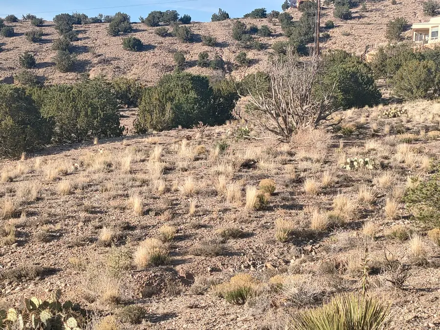 Las Brisas Loop, Placitas, NM 87043 - #2