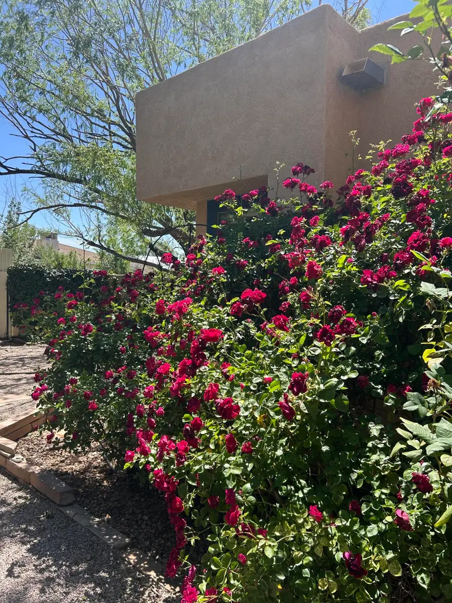 10816 Academy Ridge Road Ne, Albuquerque, NM 87111 - #2