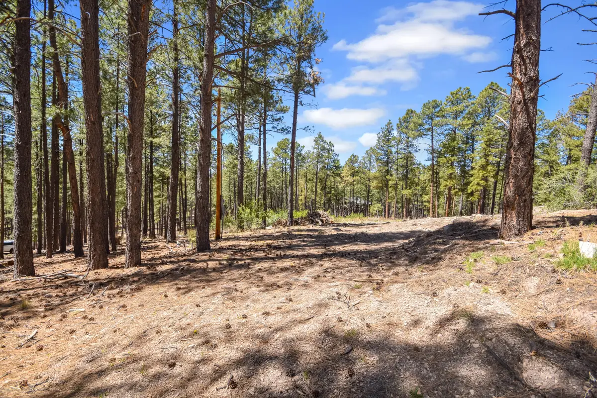 28 Bonito Way, Jemez Springs, NM 87025 - #1
