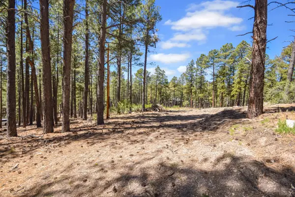 28 Bonito Way, Jemez Springs, NM 87025