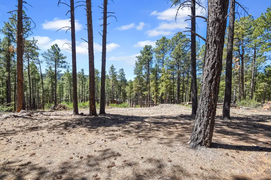 28 Bonito Way, Jemez Springs, NM 87025 - #2