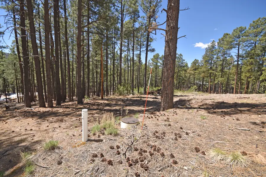 28 Bonito Way, Jemez Springs, NM 87025 - #3