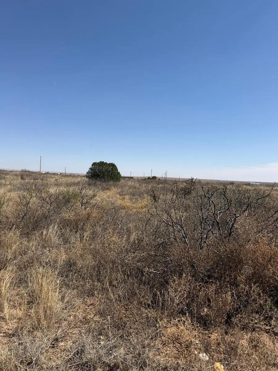 4920 Moore Circle, Lake Sumner, NM 88119 - #2
