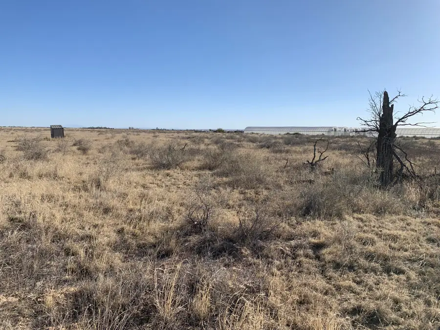 E Clements Road, McIntosh, NM 87032 - #3