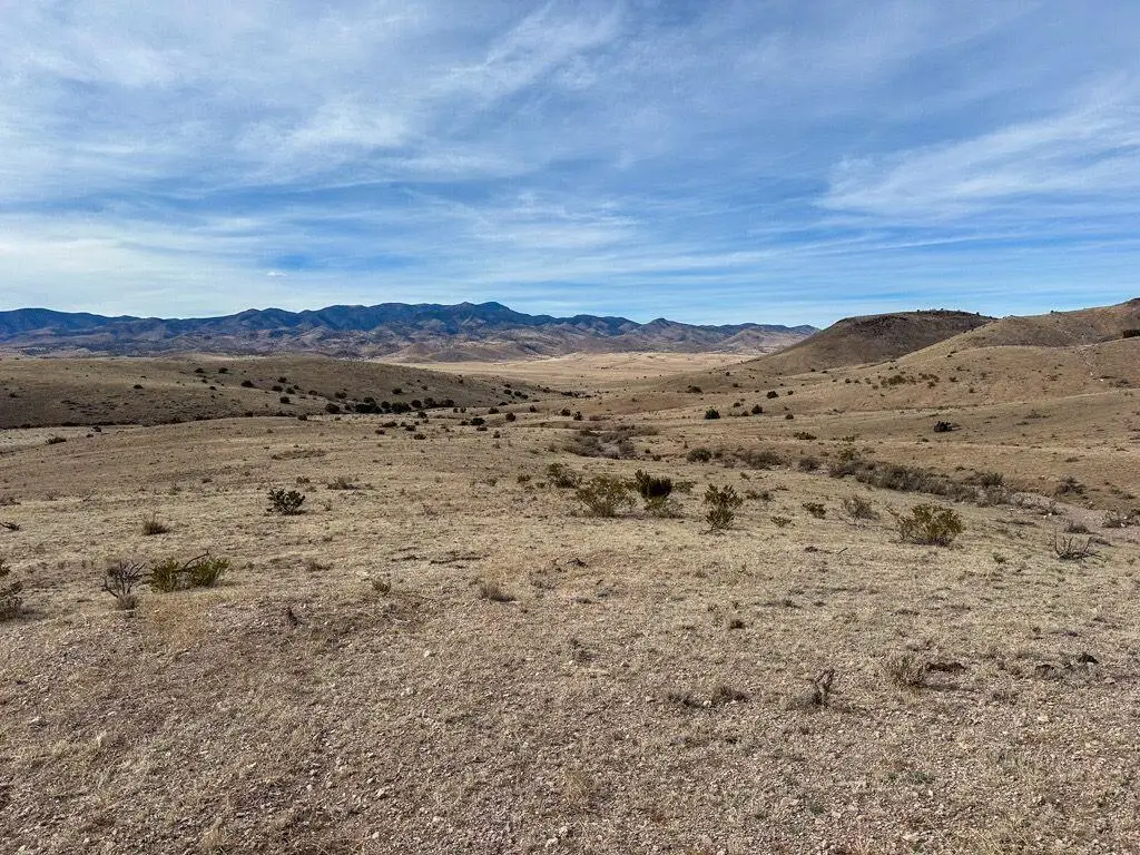 Table Mountain Road #R004079, San Antonio, NM 87801 - #1