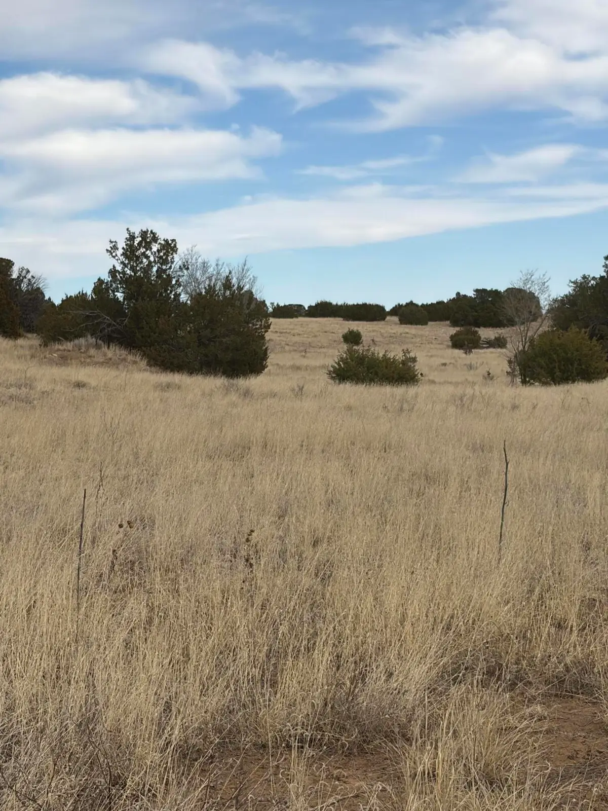 TBD Linda Vista Drive, Tajique, NM 87016 - #1