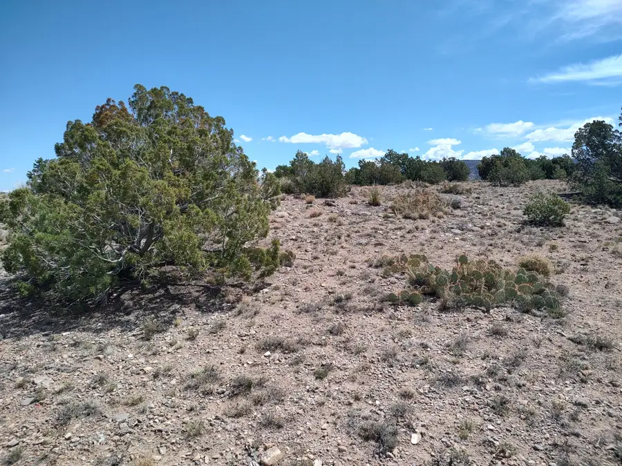 Sunrise Drive, Placitas, NM 87043 - #2