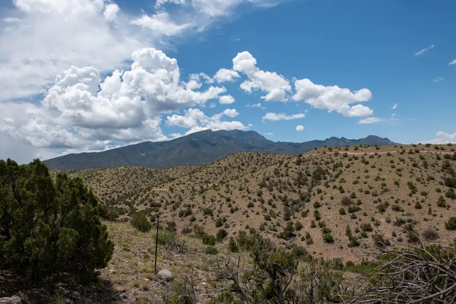14c Camino Alto, Placitas, NM 87043 - #2