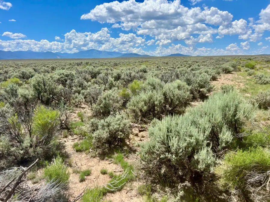 Sunshine Valley Upc 1070177069 Road, Questa, NM 87556 - #2