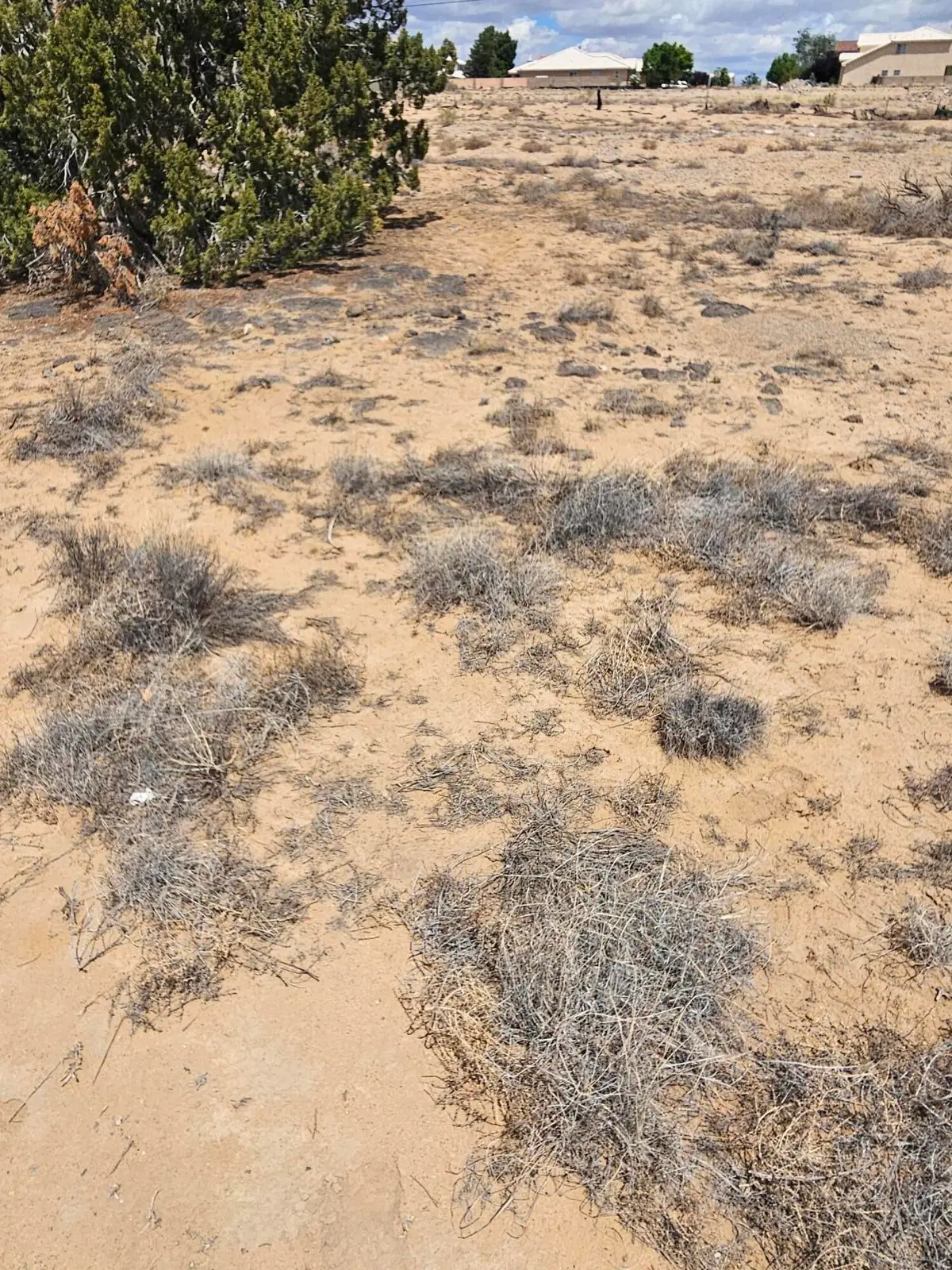 Zeidman Avenue Nw #1, Albuquerque, NM 87114 - #1
