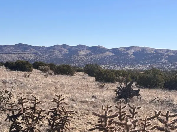 Lot 168 Pinon Springs, Magdalena, NM 87825