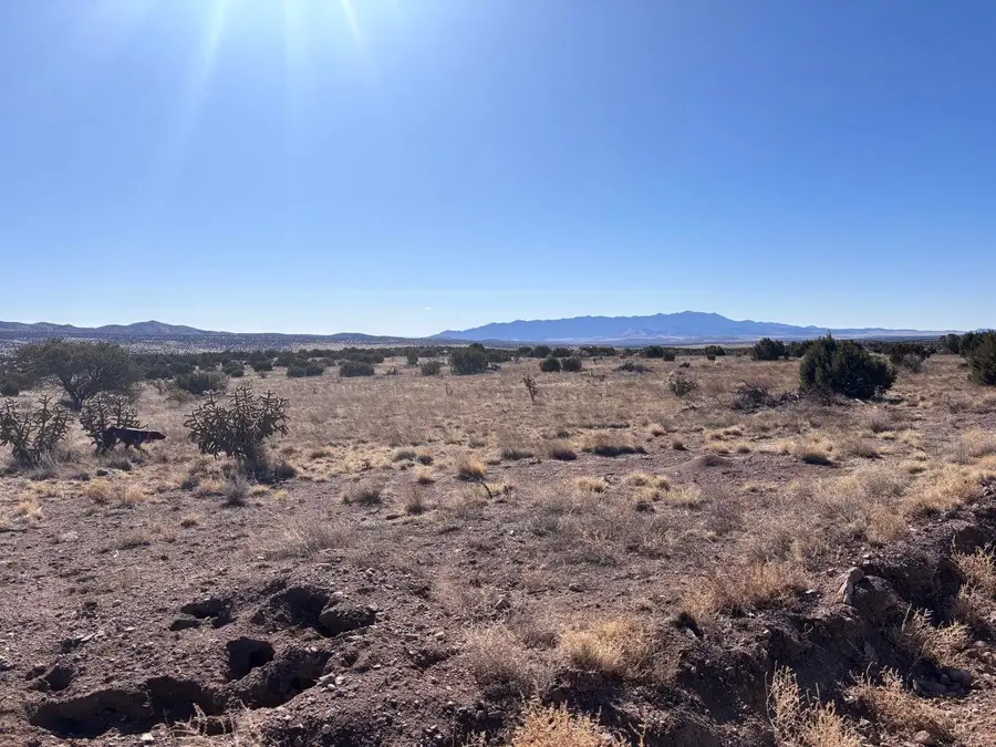 Lot 168 Pinon Springs, Magdalena, NM 87825 - #2
