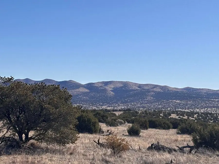 Lot 168 Pinon Springs, Magdalena, NM 87825 - #3