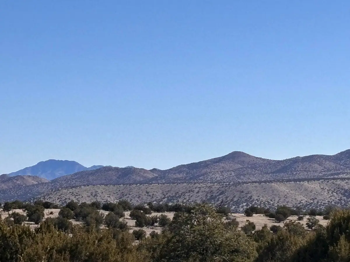Lot 174 Pinon Springs, Magdalena, NM 87825 - #1