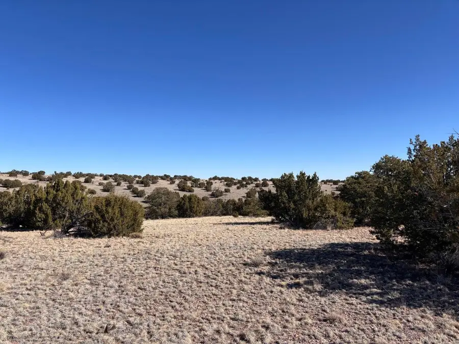 Lot 174 Pinon Springs, Magdalena, NM 87825 - #3