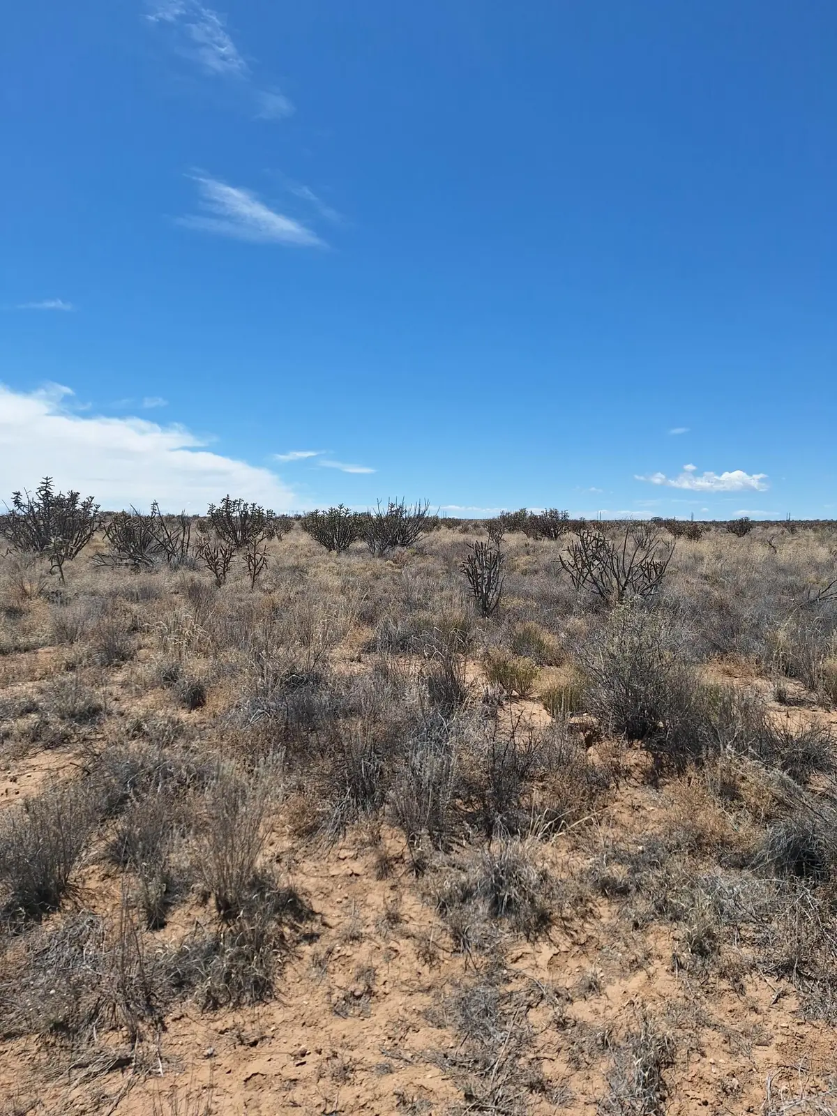 0 W Venture Drive Nw, Rio Rancho, NM 87144 - #1