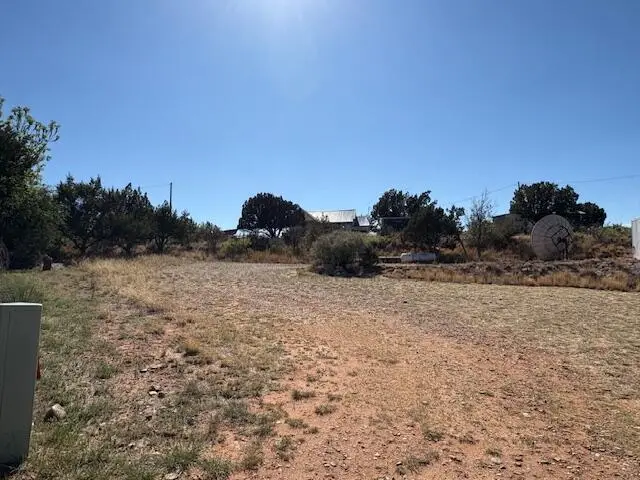 20 Oak Lane, Lake Sumner, NM 88119 - #2