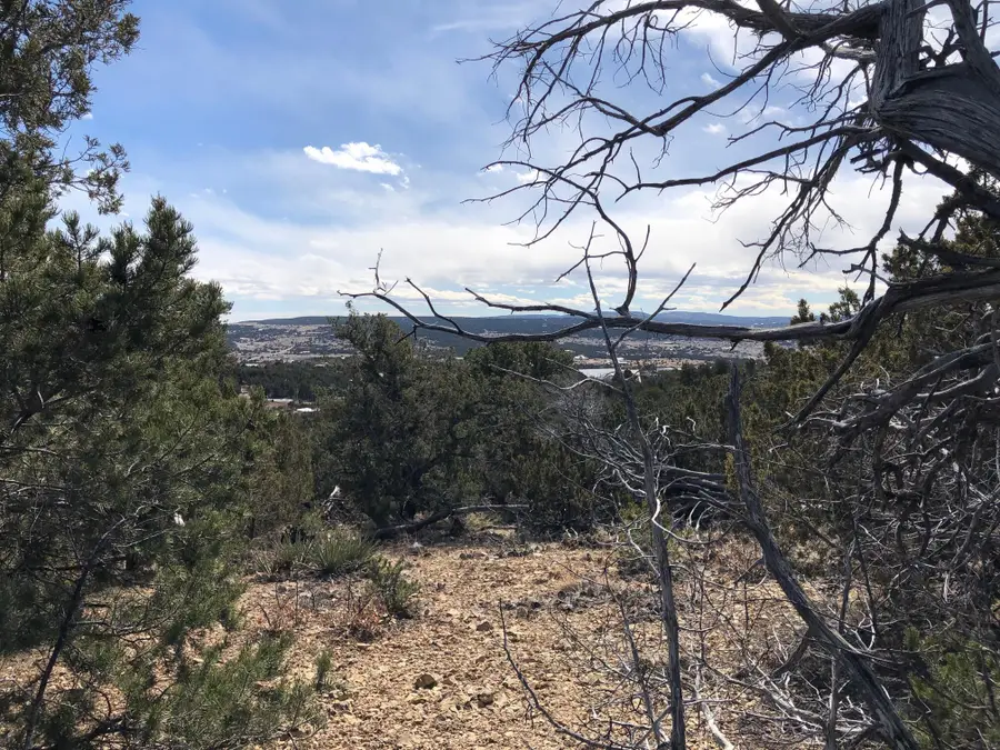 6 Joy Court, Sandia Park, NM 87047 - #2