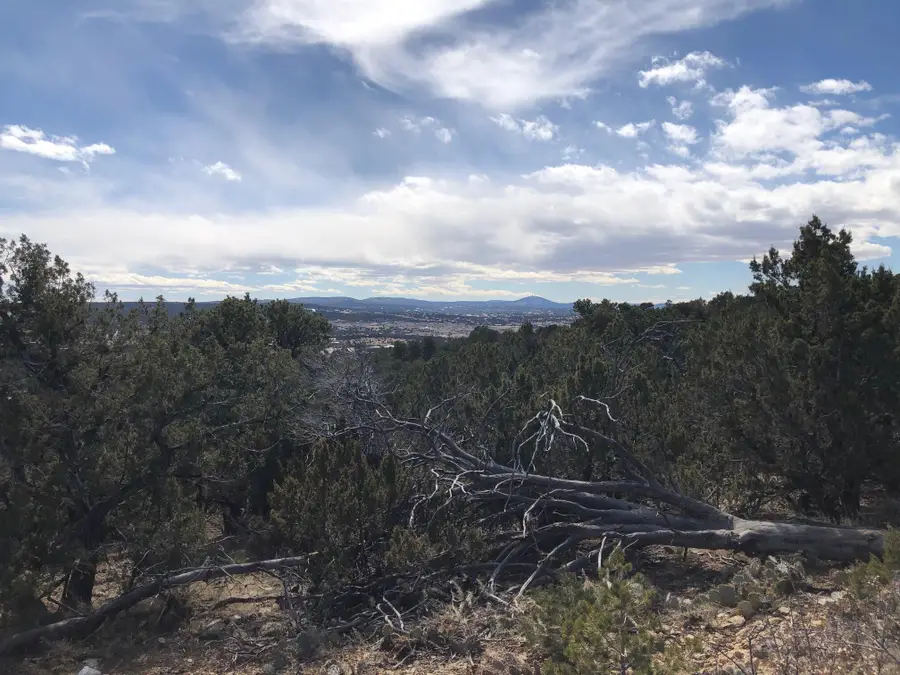 6 Joy Court, Sandia Park, NM 87047 - #3