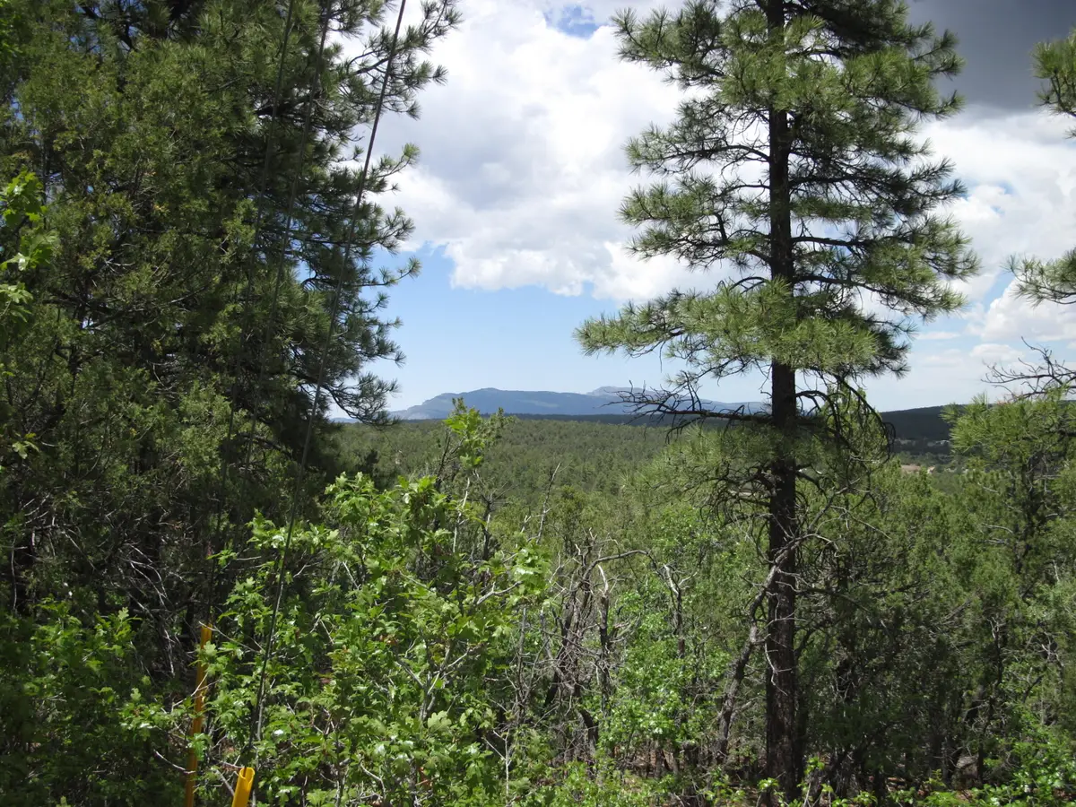 20 Estrella Vista Drive, Tijeras, NM 87059 - #1