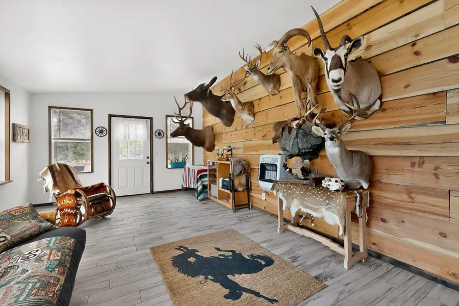 248 Hop Canyon Road, Magdalena, NM 87825 - #3