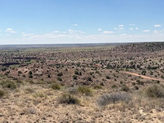 Lot 14 Hyline Place, Lake Sumner, NM 88119 - #1