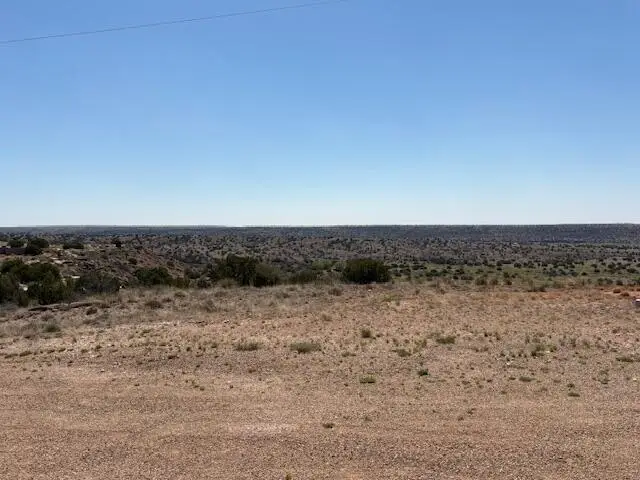 Lot 14 Hyline Place, Lake Sumner, NM 88119 - #2