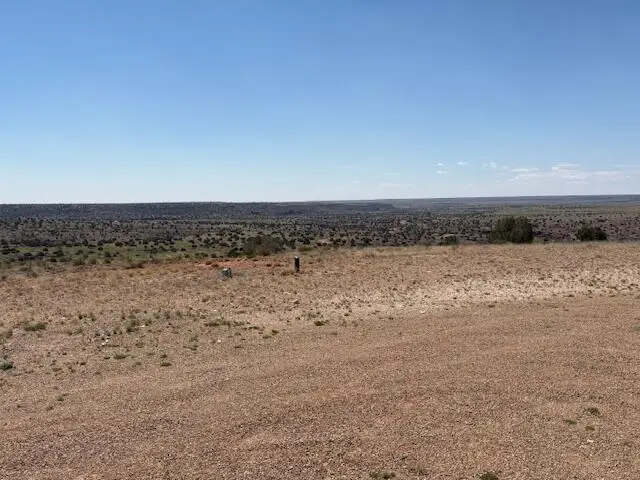 Lot 14 Hyline Place, Lake Sumner, NM 88119 - #3