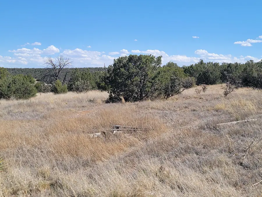 2006 Nm 333, Edgewood, NM 87015 - #3