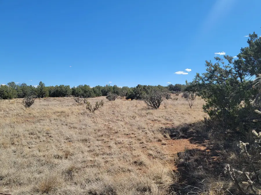 2000 Nm 333, Edgewood, NM 87015 - #3