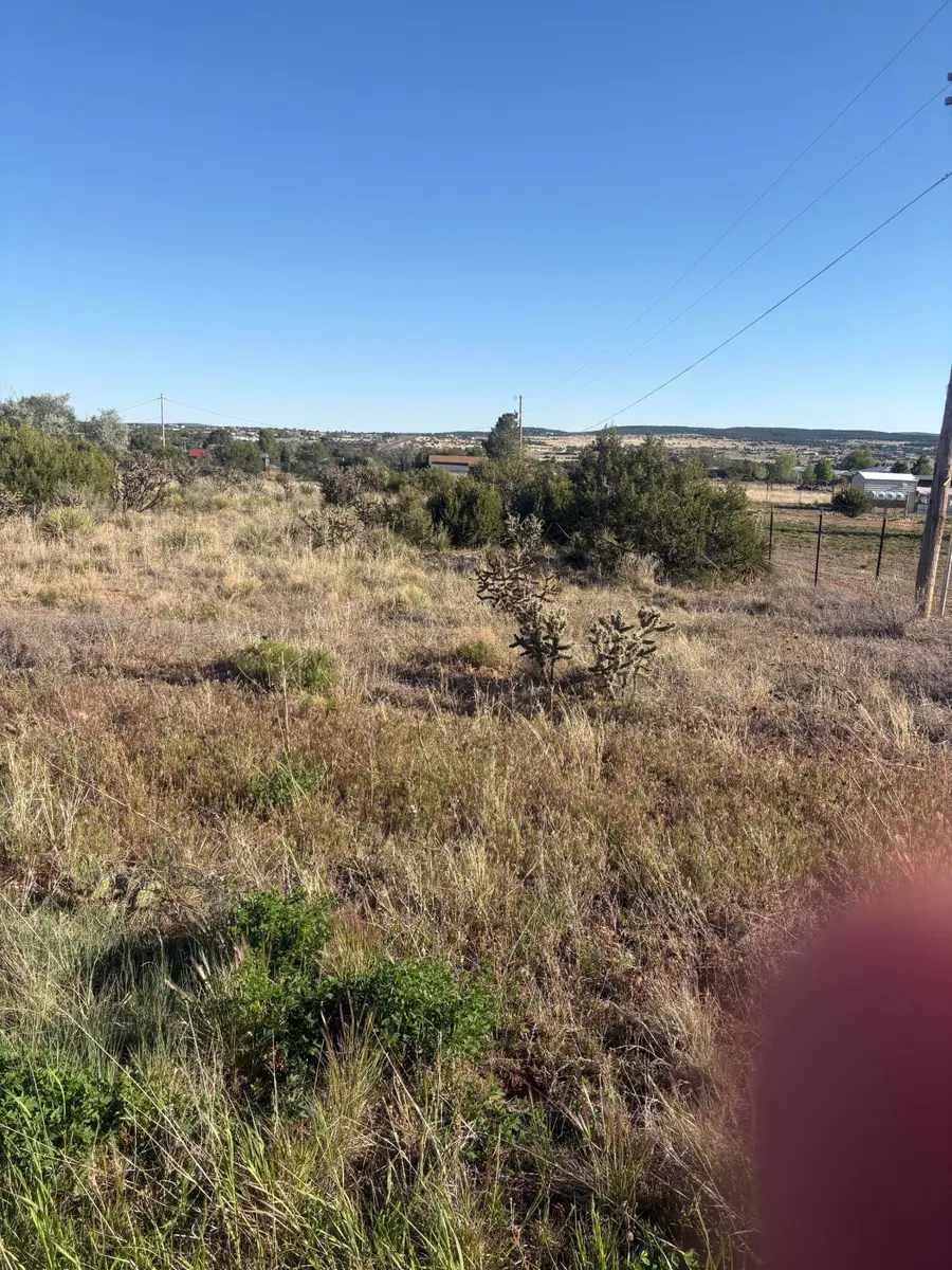 1345 Mountain Valley, Sandia Park, NM 87047 - #2