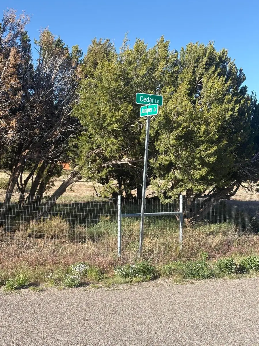 48 Juniper Drive, Sandia Park, NM 87047 - #2