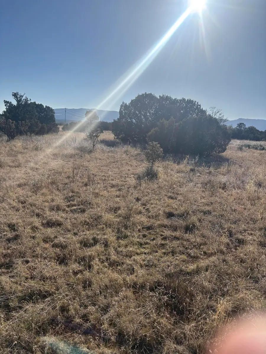 48 Juniper Drive, Sandia Park, NM 87047 - #3