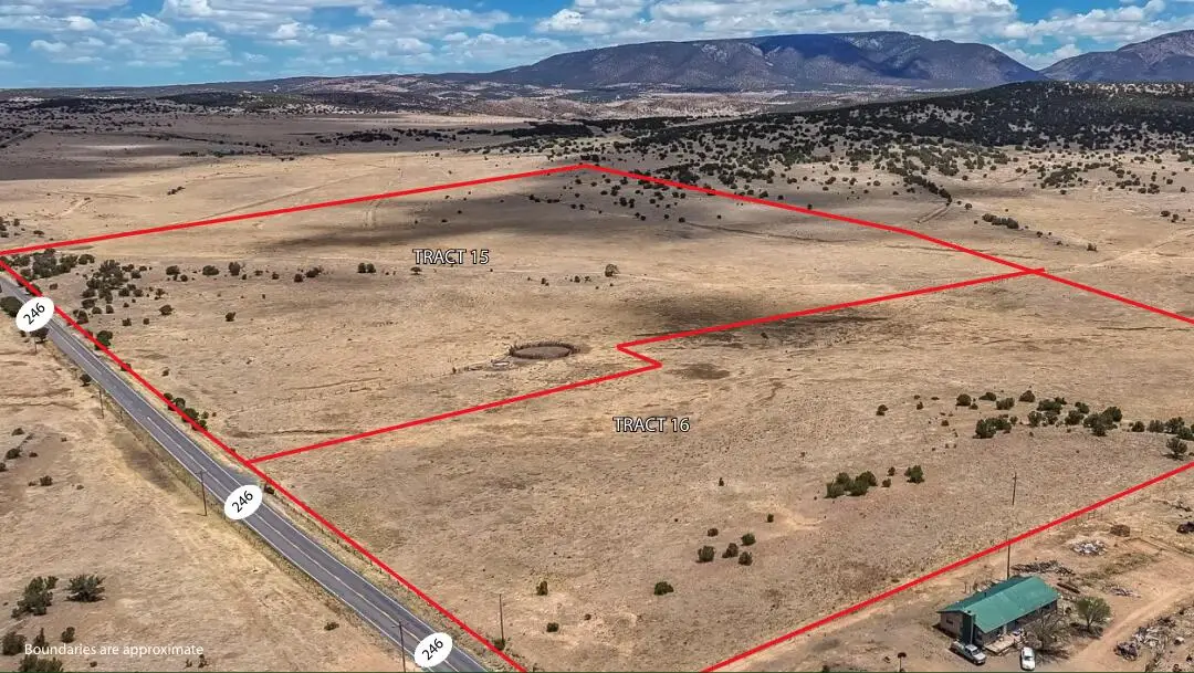 New Mexico 246, Capitan, NM 88316 - #1