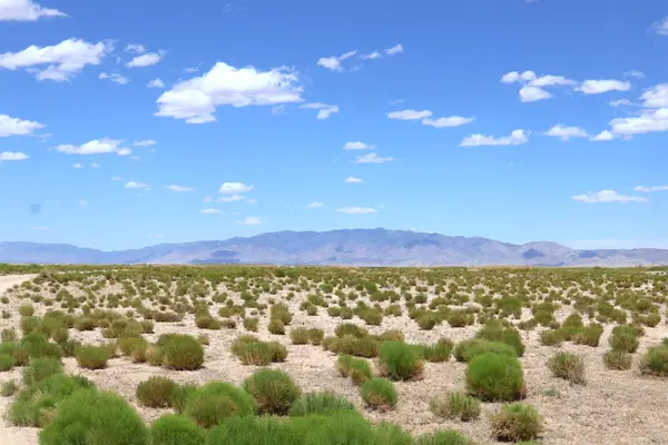 Lot 7 & 8 Rio Grande Estates, Veguita, NM 87062