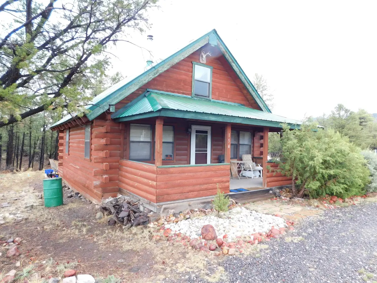 154 El Caso Road, Quemado, NM 87829 - #1