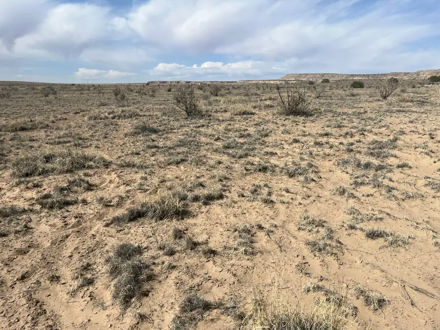 2230-2236 Apachita Way, West Bernalillo, NM 87026 - #2