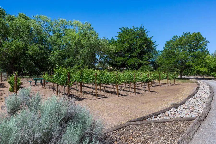 163 Camino Alto, Corrales, NM 87048 - #3