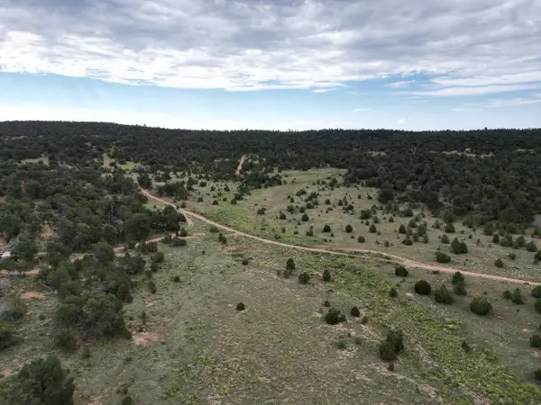 Lot 14 Candy Kitchen Road, Ramah, NM 87321