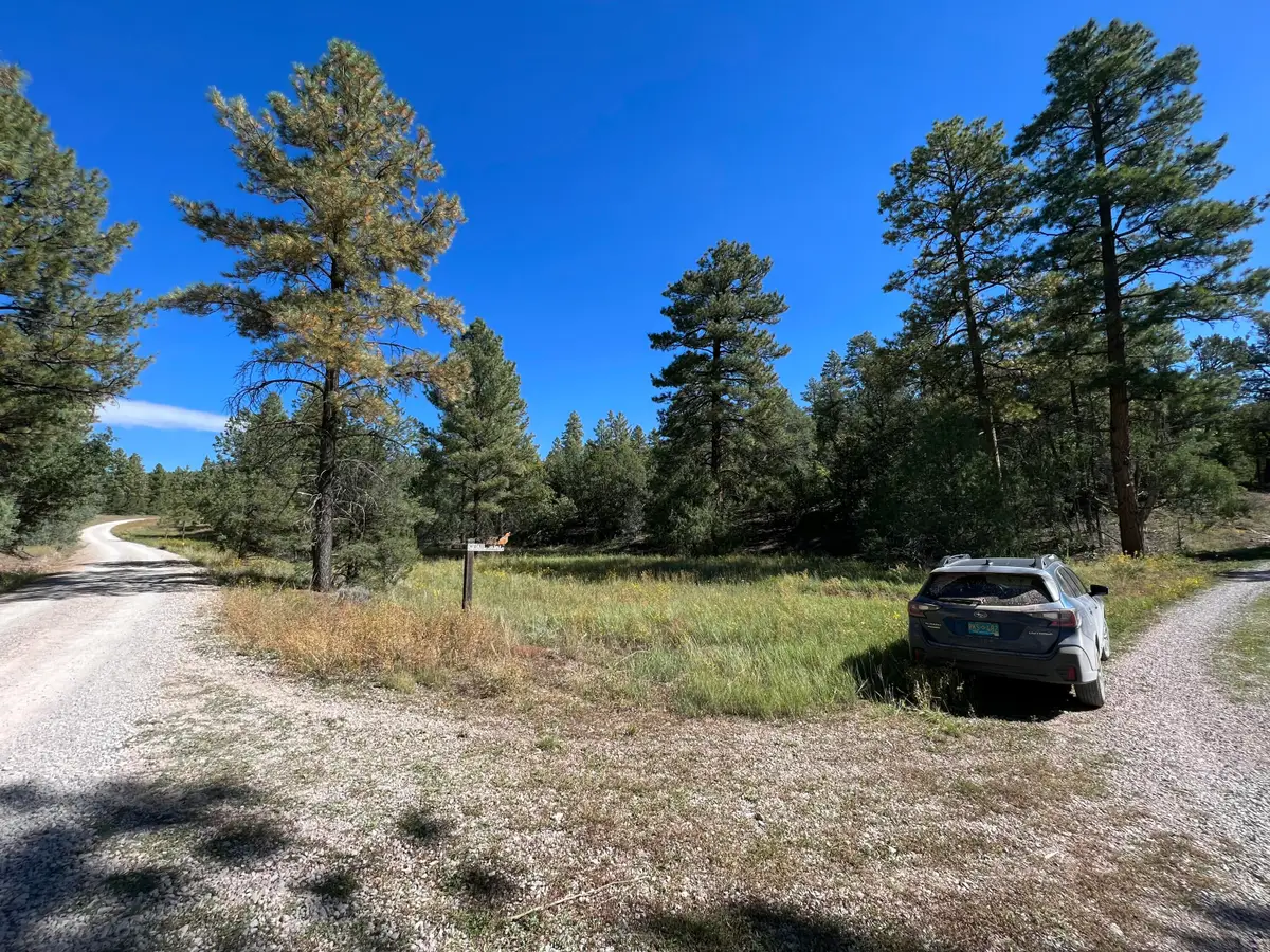 18 Quail Drive, Ramah, NM 87321 - #1