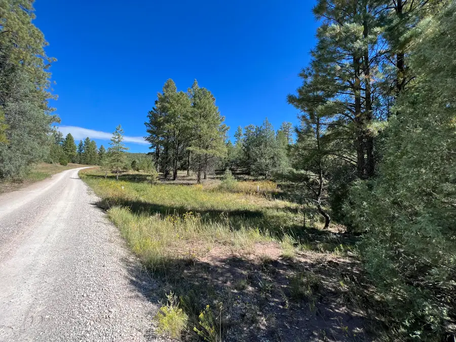 18 Quail Drive, Ramah, NM 87321 - #2