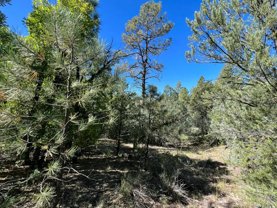 18 Quail Drive, Ramah, NM 87321 - #3