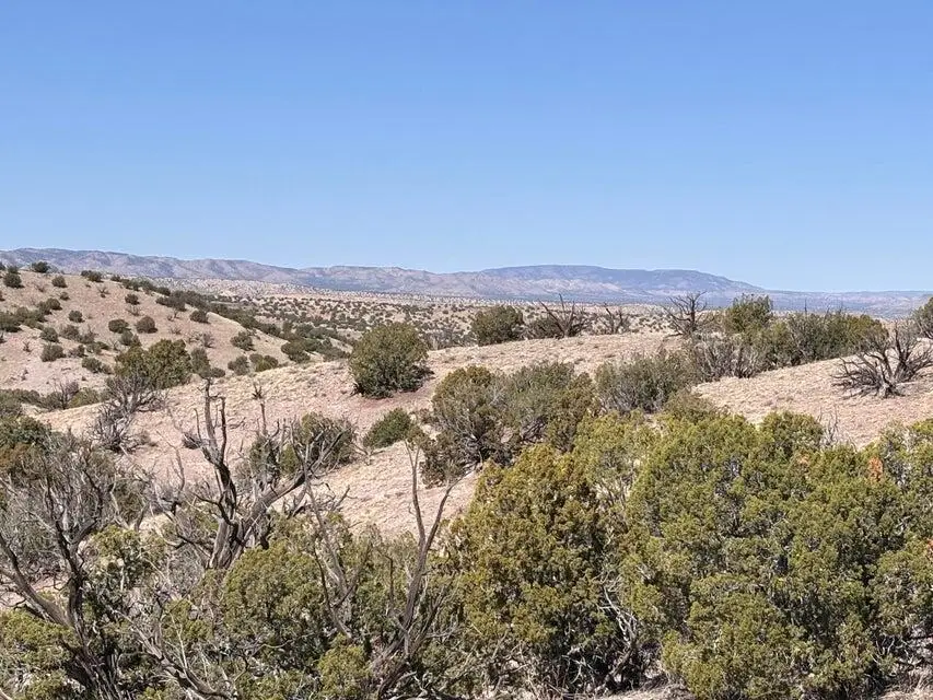 Lot 124 Abbe Springs, Magdalena, NM 87825 - #1